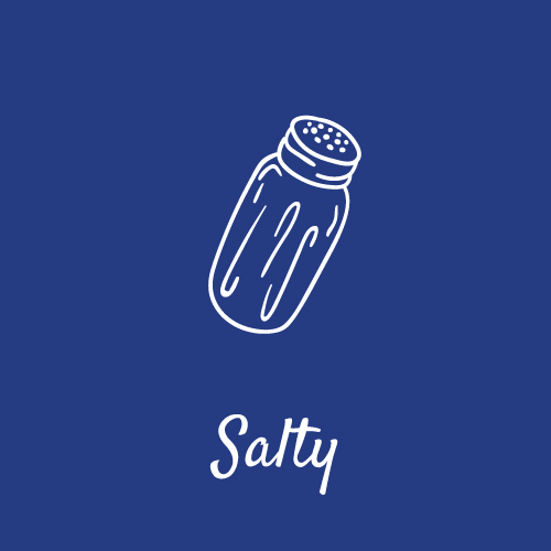 naschsalon salty icon